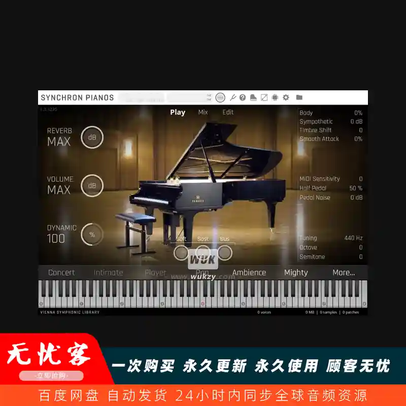 工具	VSL Vienna Synchron Piano Player v1.3.1711 Rev2（维也纳播放器钢琴演奏工具）