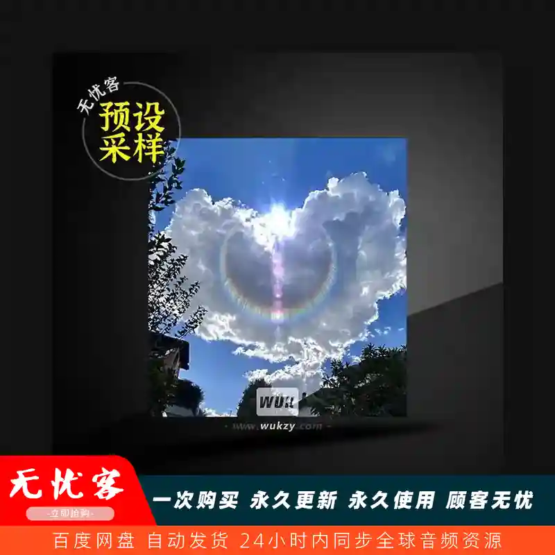 采样	Сxdy 2025 Stash Kit WAV FST（综合采样）