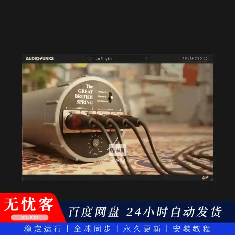 效果	Audiopunks The Great British Spring（双通道立体声弹簧混响）（W）
