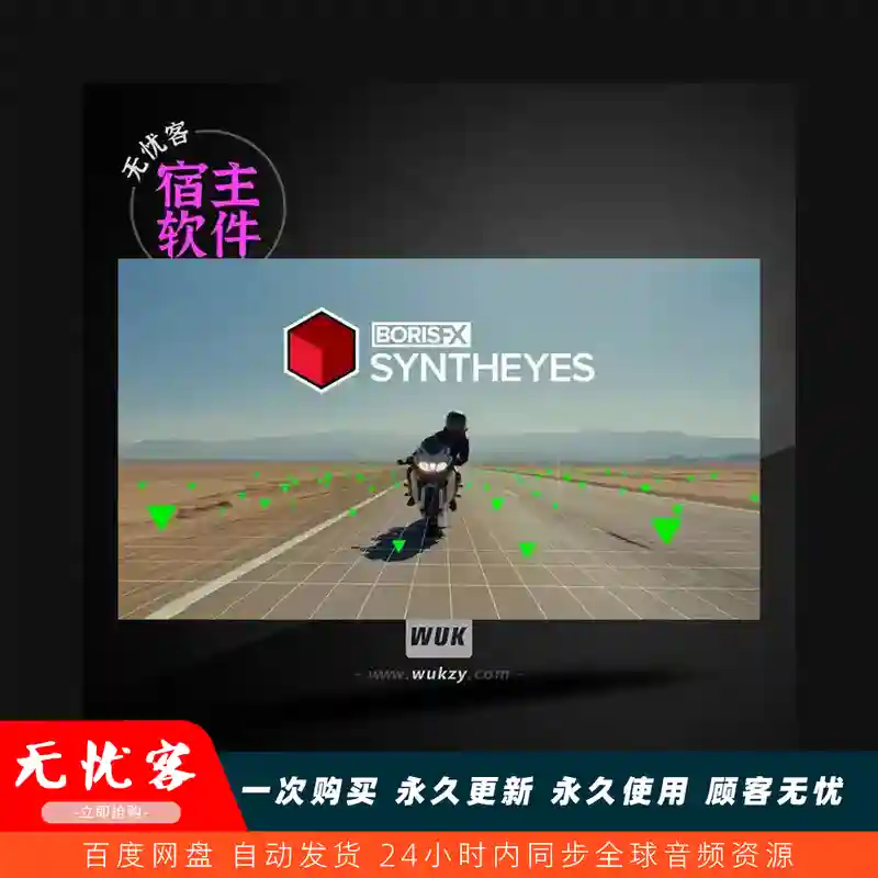 工具	Boris FX Synth Eyes Pro （运动跟踪软件）（W）