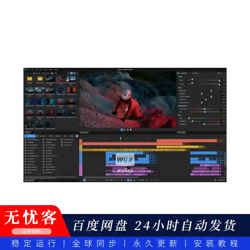 宿主	BorisFX VEGAS Pro Ultimate 视频编辑宿主（W）同步更新