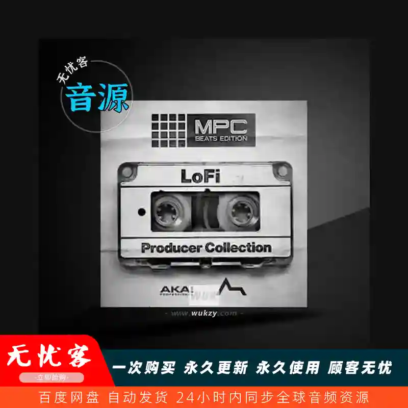 扩展	InMusic Brands ADSR Lofi Producer（Lo-Fi 节拍一键生成工作站）