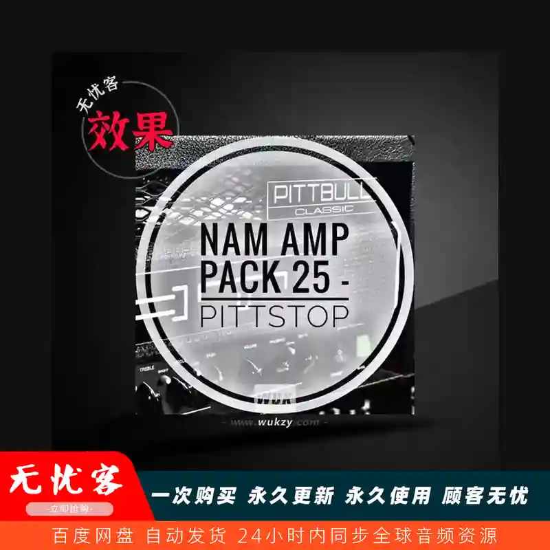 预设	Mirrorprofiles NAM Amp Pack 25 – PITTSTOP（PITTSTOP音箱预设）