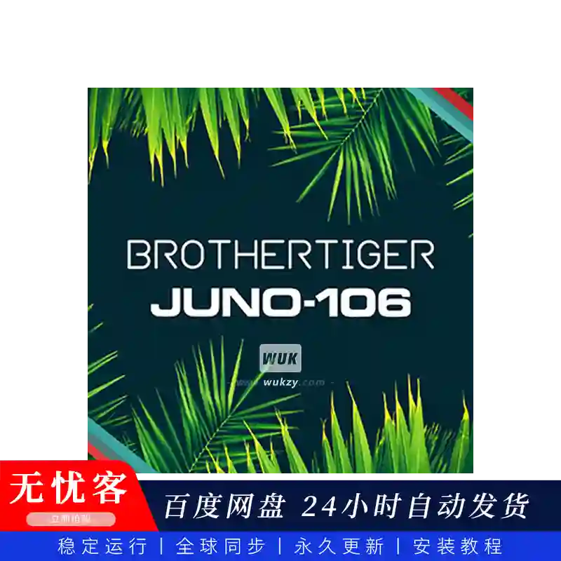 预设	Roland Cloud JUNO-106 Brothertiger（梦幻合成音色）