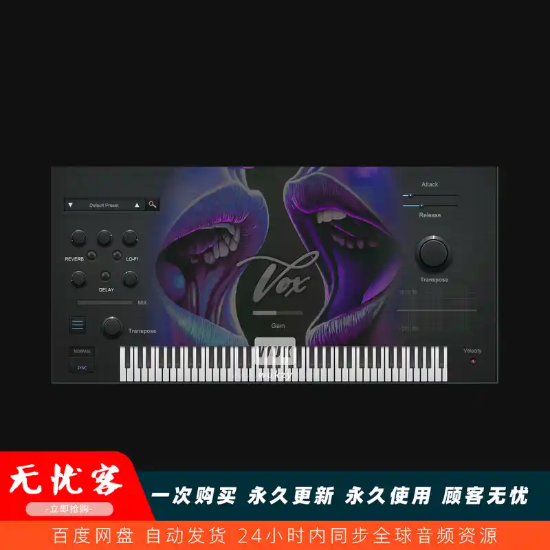 音源	True Soul Vibes RnB Vox（轻量级的RnB灵魂乐人声插件）（W）