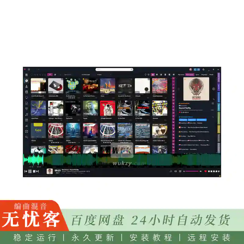 工具	Helium Music Manager Premium（本地音乐库标签管理与播放器）（W）
