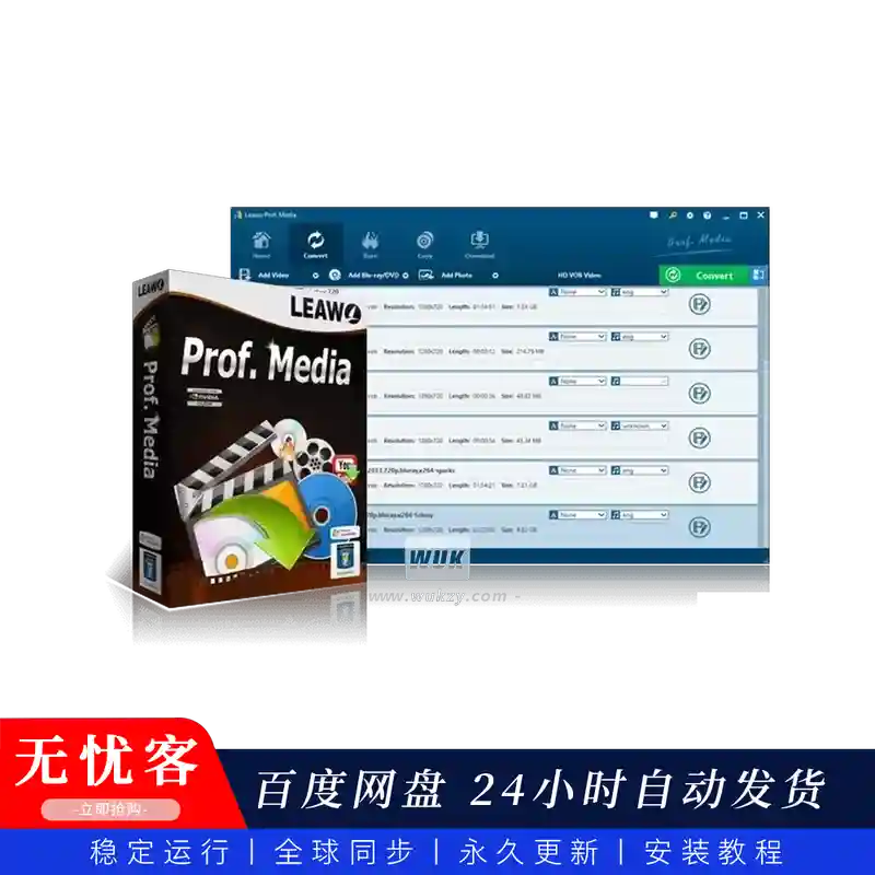 工具	Leawo Prof. Media（媒体转换套件）（W）