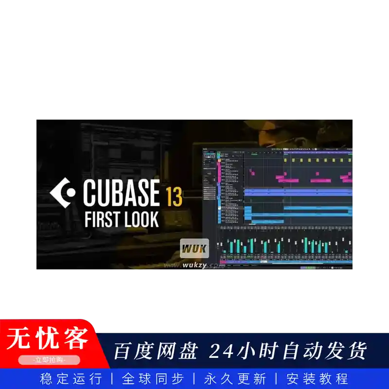 宿主	Steinberg Cubase Pro 13（库贝斯DAW）（W+M）