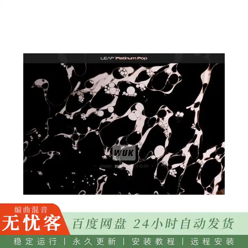 KTK	Native Instruments Leap Platinum Pop@铂金流行音色库（Kontakt）