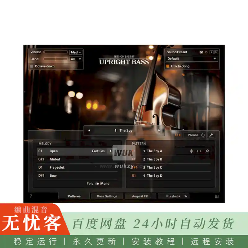 KTK	Native Instruments Session Bassist Upright Bass@原声立式低音提琴贝斯（Kontakt）