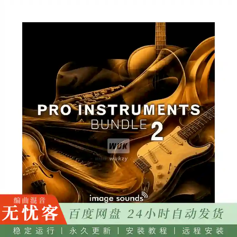 音源	Steinberg Pro Instruments Bundle 2@原声实录乐器Loop素材合集