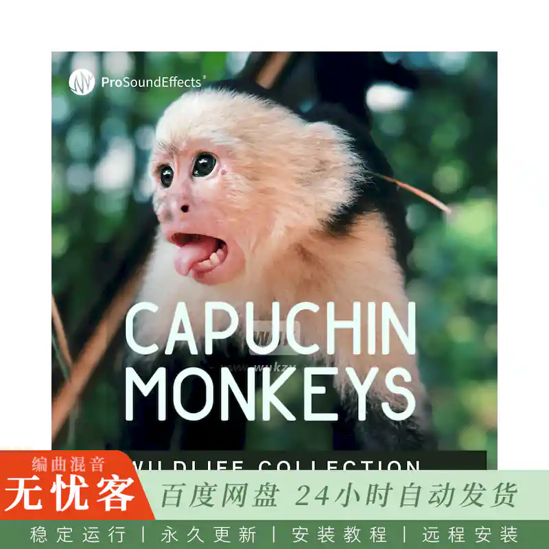 影视	Pro Sound Effects Wildlife Collection Capuchin Monkeys@81种卷尾猴音效
