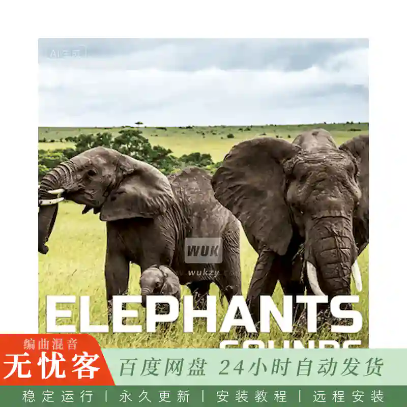 采样	Cloud Nine Records Elephants Sounds@非洲大象自然氛围音景
