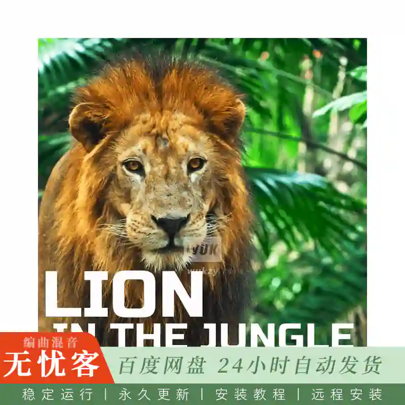 采样	Cloud Nine Records Lion In The Jungle Sounds@丛林狮子自然音效