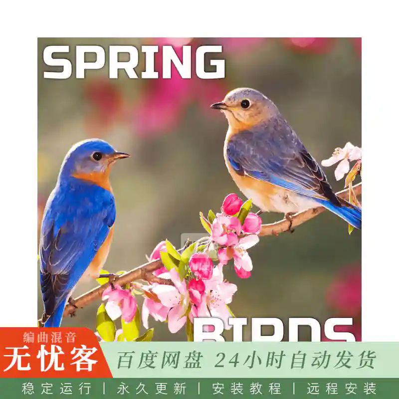 采样	Cloud Nine Records Spring Birds@春日鸟类环境音效