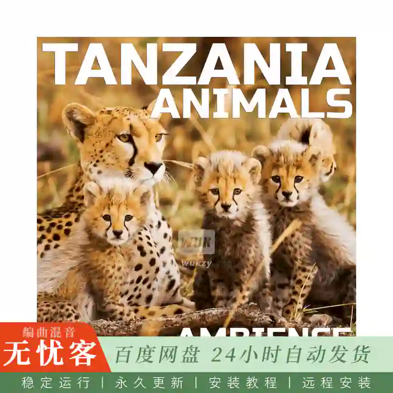 采样	Cloud Nine Records Tanzania Animals Ambience@坦桑尼亚动物环境音景