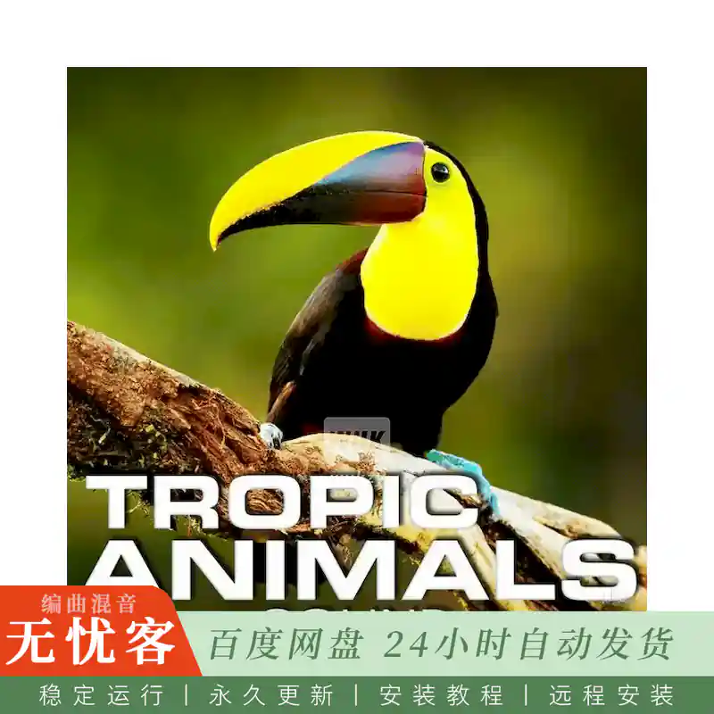 采样	Cloud Nine Records Tropic Animals Sound@热带动物环境音效