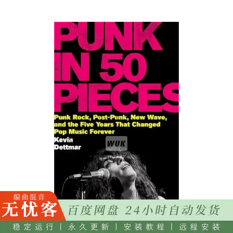 书籍	Punk in 50 Pieces@朋克与新浪潮如何改变流行音乐