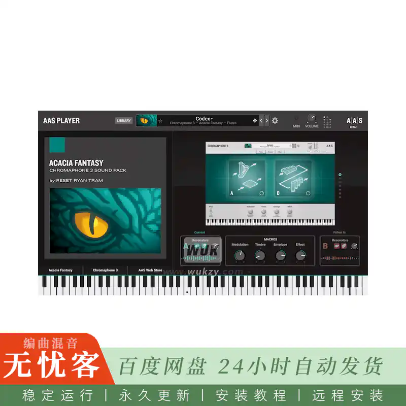 Applied Acoustics AAS Player@650种物理建模音色播放器（Win+Mac）