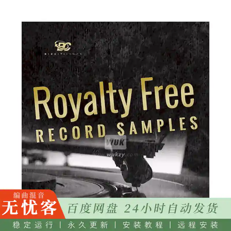 Big Citi Loops Royalty-Free Record Samples@黑胶质感唱片风格采样合集