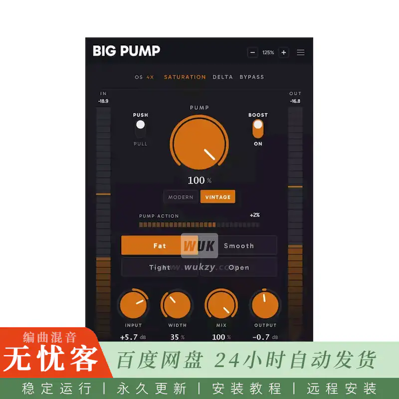 Big Man Labs Big Pump@单旋钮响度塑形器（Win）
