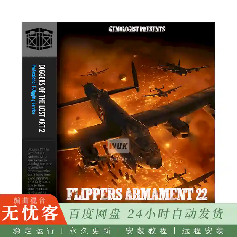 Boom Bap Labs Solution Beats Flippers Armament 22@10个稀有黑胶采样素材