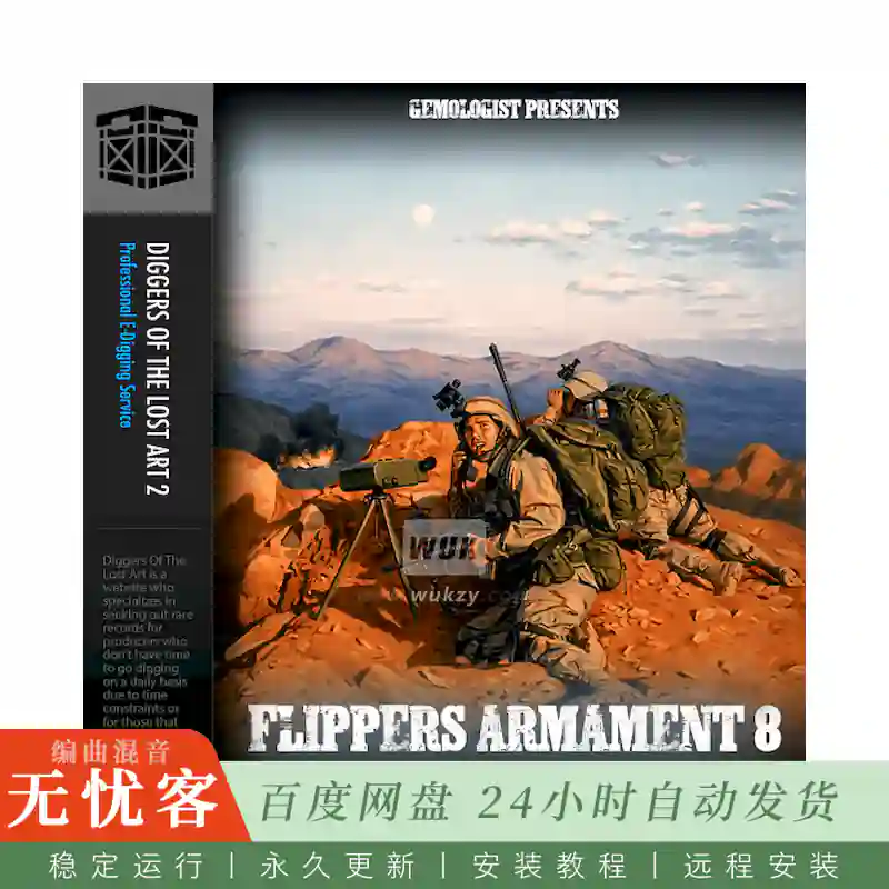 Boom Bap Labs Solution Beats Flippers Armament 8@10个精选黑胶采样素材