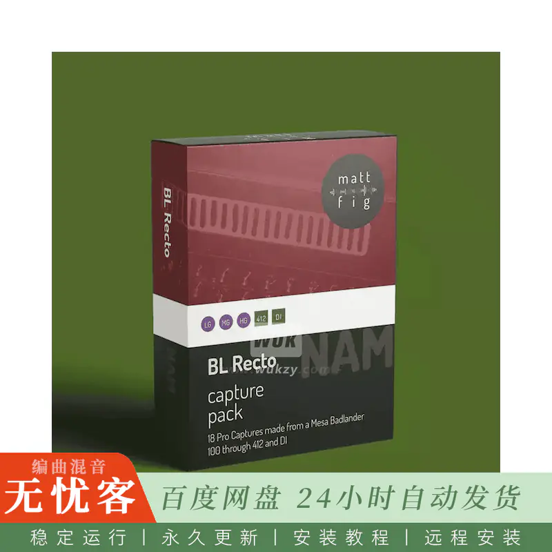MATT Fig Fig JEL50 NAM Capture Pack@Friedman JEL50三通道音色捕获