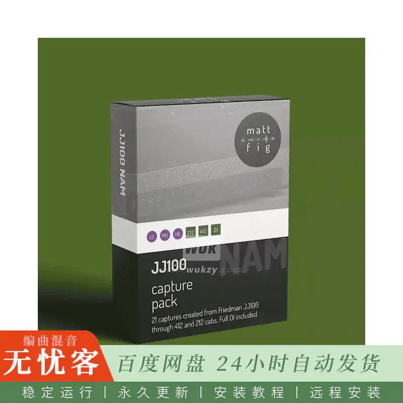 MATT Fig Fig JJ100 NAM Capture Pack@Friedman JJ100双通道音色捕获