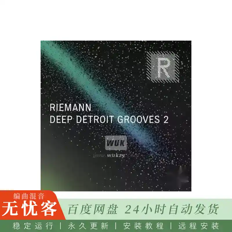 Riemann Kollektion Riemann Deep Detroit Grooves 2 WAV@底特律科技舞曲循环素材