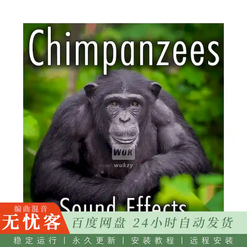 Sound Ideas Chimpanzees Sound Effects FLAC@收录黑猩猩多种叫声与群体互动录音