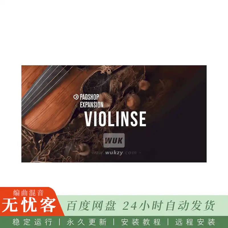 Steinberg Violinse for Padshop 2@颗粒小提琴音色拓展